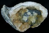 Crystal Filled Fossil Clam - Rucks Pit, FL #6044-1